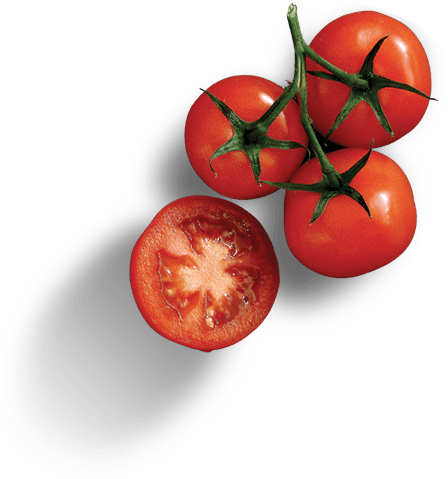 divi-food-store-6