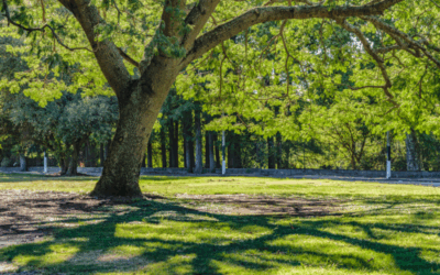 Ruta natural: Parque Natural Urbasa-Andía